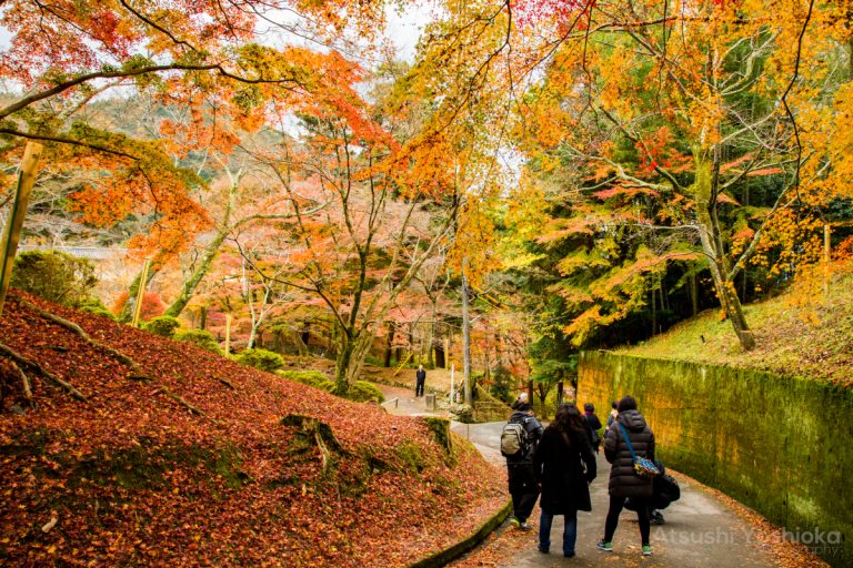 6つの撮影テクニックでシーズン前にマスター!紅葉撮影講座 6つの撮影テクニックでシーズン前にマスター!紅葉撮影講座