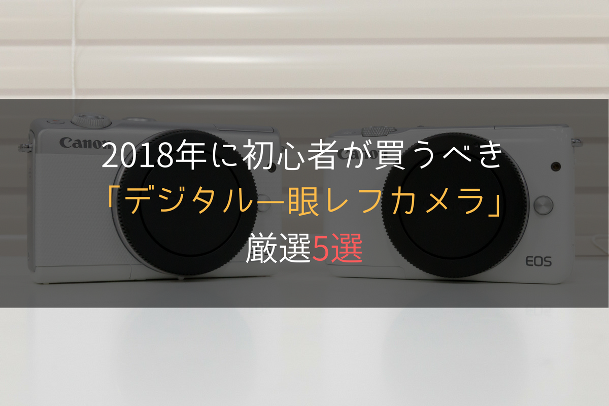2018年に初心者が買うべき「デジタル一眼カメラ」厳選5選 2018年に初心者が買うべき「デジタル一眼カメラ」厳選5選