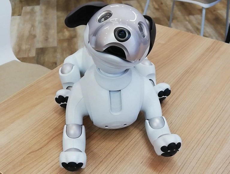 ソニーの新型aiboをレビュー!かわいいだけじゃない、充実した時間を過ごせるパートナー ソニーの新型aiboをレビュー!かわいいだけじゃない、充実した時間を過ごせるパートナー