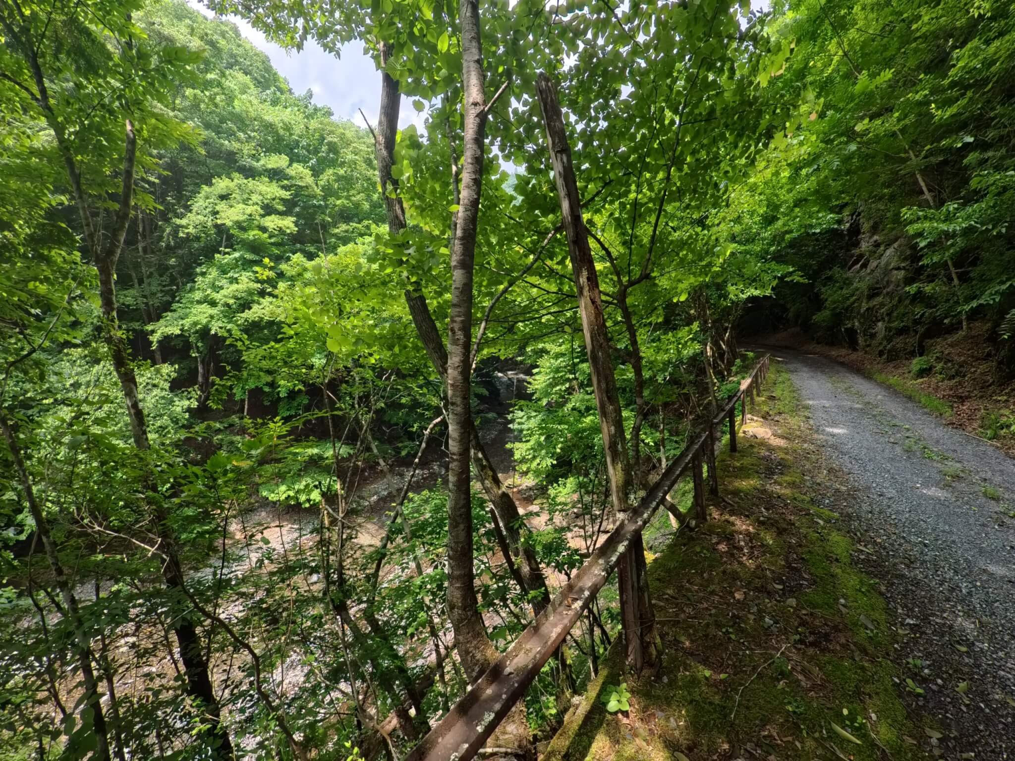 撮影の様子