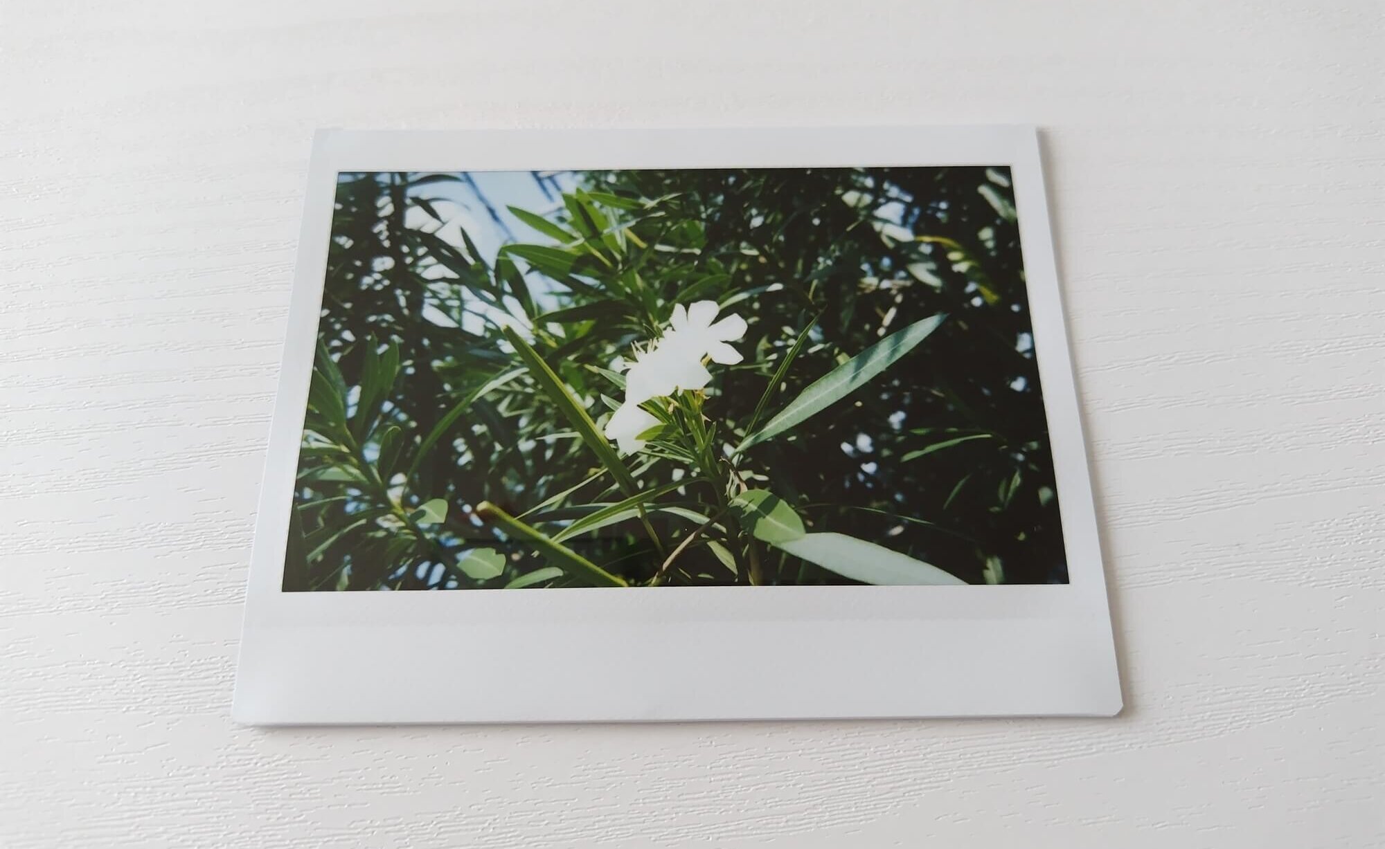 instax WIDE 400使った感想、接写モード