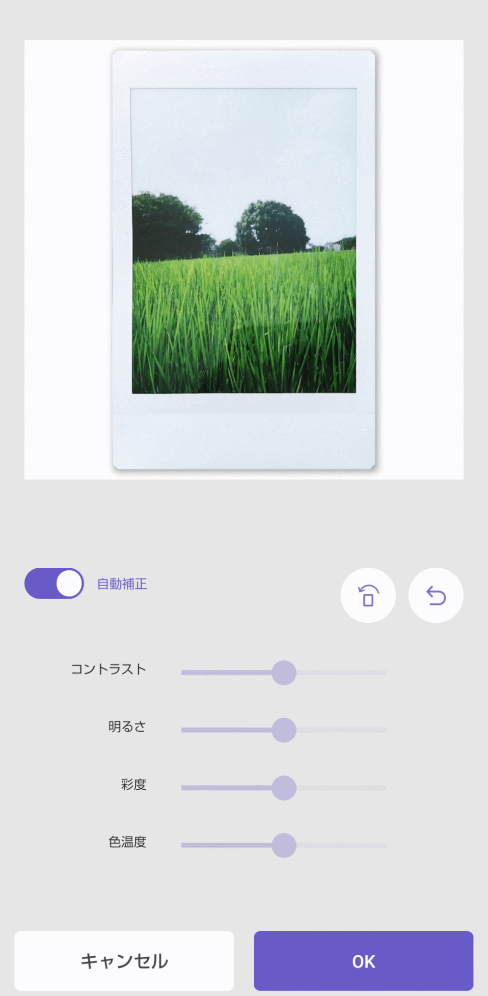 チェキ instax mini41を使った感想
