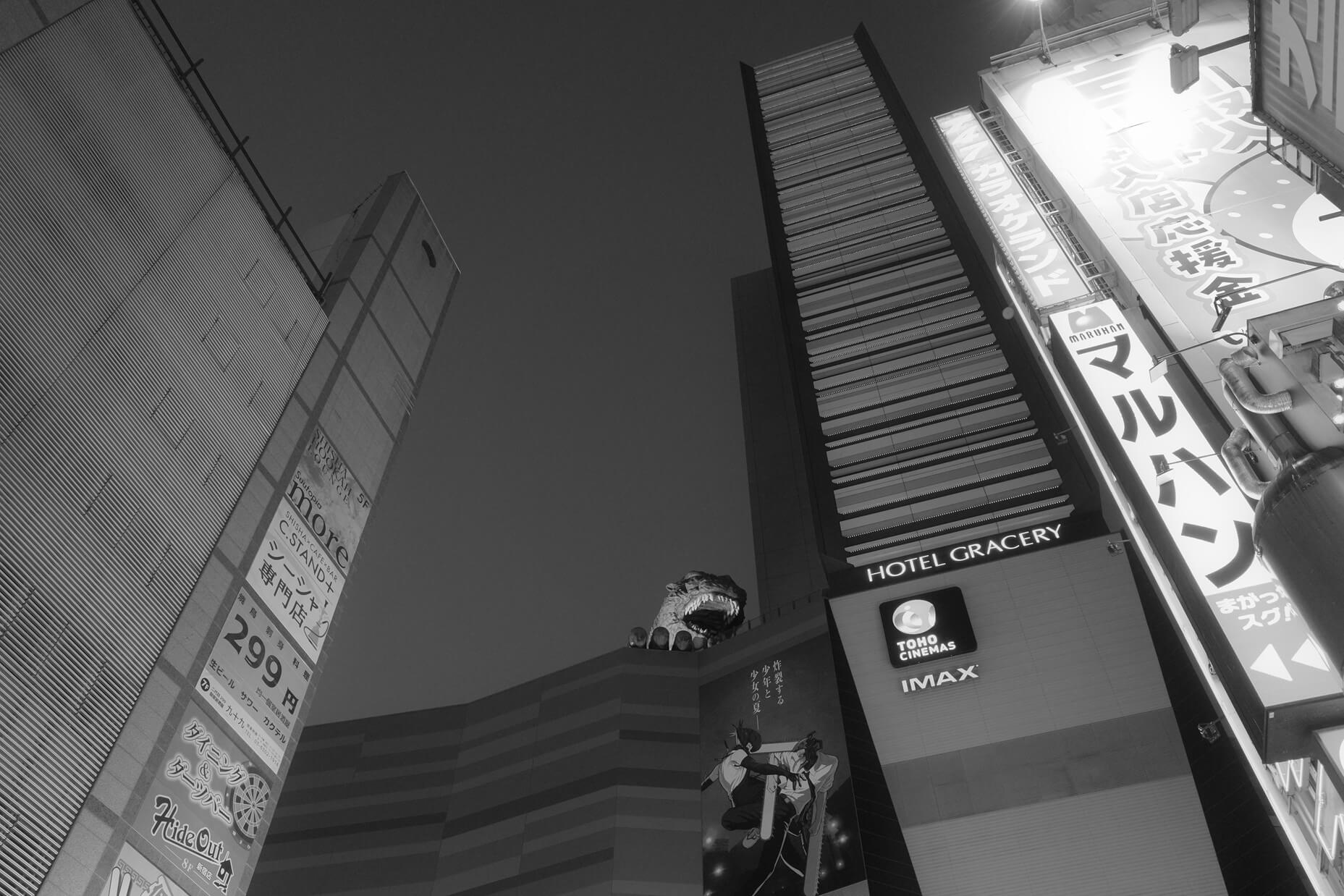 RICOH GR IV